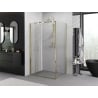 Mexen Exo cabine de douche pliante 80 x 120 cm, transparente, dorée - 816-080-120-50-00