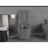 Mexen Teo cuvette WC sans bride avec abattant à descente amortie slim, duroplast, gris foncé mat - 30854071