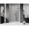 Mexen Lunar L Duo portes de douche pivotantes 140 cm, transparent, doré - 834DL-140-000-50-00