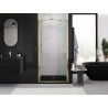 Mexen Exo-B porte de douche pivotante 50 cm, transparent, doré - 817-050-000-50-00