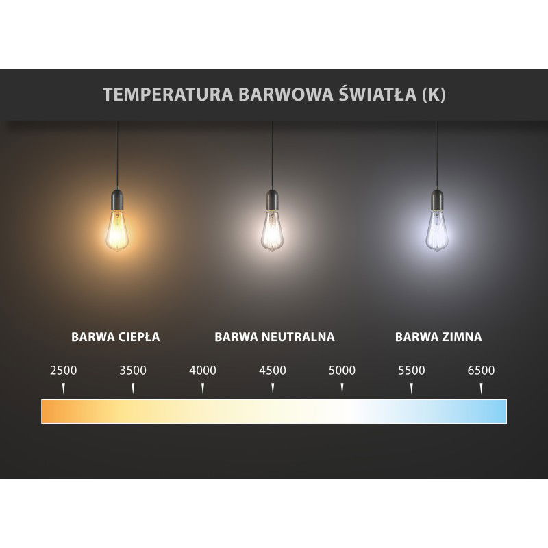 Mexen Nova Ampoule LED E14, G45, 8W, Froid - 6500K, 840 lm - L101-E14-0865-01