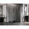Mexen Lunar Duo cabine de douche pivotante droite 110 x 105 cm, transparente, doré brossé - 834-110P-105L-55-00