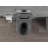 Mexen Rico cuvette WC Rimless avec abattant slim à descente lente, duroplast, gris foncé mat - 30724071