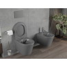 Mexen Rico cuvette WC Rimless avec abattant slim à descente lente, duroplast, gris foncé mat - 30724071