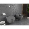 Mexen Lena cuvette WC Rimless avec abattant à descente amortie slim, duroplast, gris foncé mat - 30224071