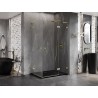 Mexen Lunar L Duo cabine de douche avec porte battante à droite 95 x 80 cm, transparent, or brossé - 834L-095P-080L-55-00