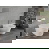 Ensemble encastré bidet cadre Fenix B avec bidet Rico, blanc - 69935724800