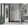 Mexen Mist L porte de douche pivotante 145 cm, transparent, or brossé - 8A4L-145-001-55-00