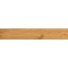 Mexen Future Carreau en grès émaillé Honey rectifié G1, semblable au bois pour sol et mur 120 x 20 cm, mat