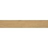 Mexen Gaatha Gres émaillé rectifié amande G1, carrelage effet bois pour sol et mur 120 x 20 cm, mat - TL603-120-020-00