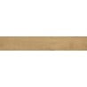 Mexen Gaatha Gres émaillé rectifié amande G1, carrelage effet bois pour sol et mur 120 x 20 cm, mat - TL603-120-020-00