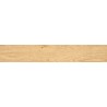 Mexen Gaatha Rialto grès émaillé rect. G1, carreau aspect bois pour sol et mur 120 x 20 cm, mat - TL603-120-020-01