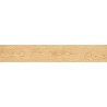 Mexen Gaatha Rialto grès émaillé rect. G1, carreau aspect bois pour sol et mur 120 x 20 cm, mat - TL603-120-020-01
