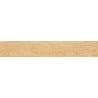 Mexen Gaatha Rialto grès émaillé rect. G1, carreau aspect bois pour sol et mur 120 x 20 cm, mat - TL603-120-020-01
