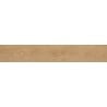 Mexen Gaatha San Marco grès émaillé rectifié G1, carreau effet bois sol-mur 120 x 20 cm, mat - TL603-120-020-02