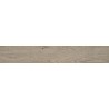 Mexen Gaatha Tortora grès émaillé rectifié G1, carreau effet bois sol-mur 120 x 20 cm, mat - TL603-120-020-03