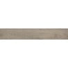 Mexen Gaatha Tortora grès émaillé rectifié G1, carreau effet bois sol-mur 120 x 20 cm, mat - TL603-120-020-03