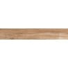 Mexen Indica Brown grès émaillé rectifié. G1, carreau de sol et mural effet bois 120 x 20 cm, mat - TL604-120-020-02