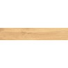 Mexen Jasperwood Grès émaillé beige rectifié G1, carreau à effet bois pour sol et mur 120 x 20 cm, mat - TL605-120-020-01
