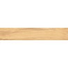 Mexen Jasperwood Grès émaillé beige rectifié G1, carreau à effet bois pour sol et mur 120 x 20 cm, mat - TL605-120-020-01