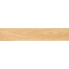 Mexen Jasperwood Grès émaillé beige rectifié G1, carreau à effet bois pour sol et mur 120 x 20 cm, mat - TL605-120-020-01