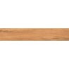 Mexen Jasperwood Noce grès émaillé rectifié G1, carreau effet bois sol-mur 120 x 20 cm, mat - TL605-120-020-03