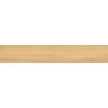 Mexen Liston Grès émaillé beige, carreau rectifié imitant le bois pour sol et mur 120 x 20 cm, mat - TL607-120-020-01