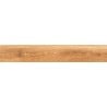 Mexen Meranti Grès marron émaillé rectifié G1, carrelage de sol et mural aspect bois 120 x 20 cm, mat - TL609-120-020-02