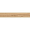 Mexen Meranti Carreau émaillé rectifié Miele G1, carreau de sol et mural aspect bois 120 x 20 cm, mat - TL609-120-020-05