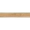 Mexen Meranti Carreau émaillé rectifié Miele G1, carreau de sol et mural aspect bois 120 x 20 cm, mat - TL609-120-020-05