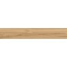 Mexen Meranti Carreau émaillé rectifié Miele G1, carreau de sol et mural aspect bois 120 x 20 cm, mat - TL609-120-020-05