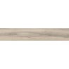 Mexen Hirera Grès émaillé rectifié Mint G1, carreau imitation bois sol-mur 120 x 20 cm, mat - TL611-120-020-10