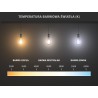 Mexen Vintis Ampoule filament LED E27, G45, 2W, Chaude - 2700K, 240 lm, claire - L156-E27-0227-00