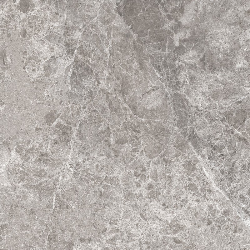 Mexen Lizard Grès gris émaillé rectifié G1, carreau sol et mur 60 x 60 cm, brillant - TL109-060-060-02