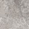 Mexen Lizard Grès gris émaillé rectifié G1, carreau sol et mur 60 x 60 cm, brillant - TL109-060-060-02