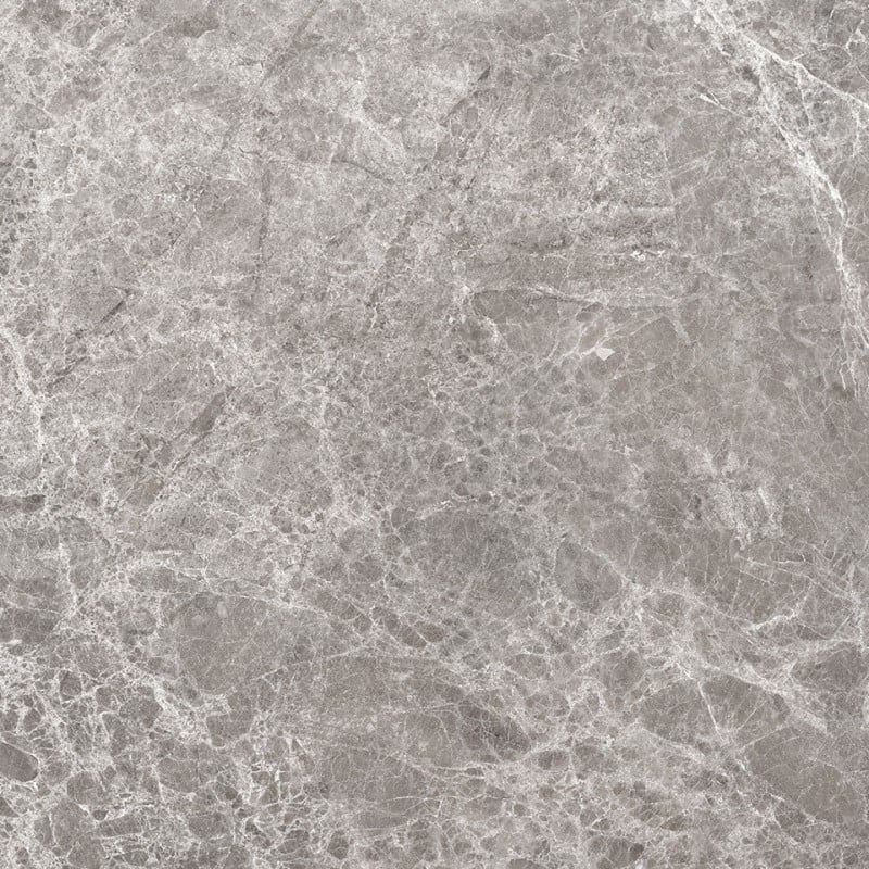 Mexen Lizard Grès gris émaillé rectifié G1, carreau sol et mur 60 x 60 cm, brillant - TL109-060-060-02