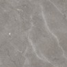 Mexen Era Gres gris émaillé rectifié G1, carreau sol-mur 60 x 60 cm, brillant - TL117-060-060-03
