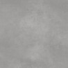 Mexen Mileo Grès émaillé rectifié gris clair G1, carrelage sol-mur 60 x 60 cm, mat - TL301-060-060-05
