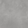 Mexen Mileo Grès émaillé rectifié gris clair G1, carrelage sol-mur 60 x 60 cm, mat - TL301-060-060-05