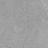 Mexen Inspira Grès gris émaillé rectifié G1, carreau de sol et mural 60 x 60 cm, mat - TL303-060-060-02