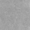 Mexen Inspira Grès gris émaillé rectifié G1, carreau de sol et mural 60 x 60 cm, mat - TL303-060-060-02