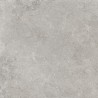 Mexen Petrich 2.0 Dalle de terrasse Light Grey 60 x 60 x 2 cm, grès émaillé rectifié G1, mate - TL906-060-060-00