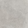 Mexen Petrich 2.0 Dalle de terrasse Light Grey 60 x 60 x 2 cm, grès émaillé rectifié G1, mate - TL906-060-060-00