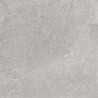 Mexen Petrich 2.0 Dalle de terrasse Light Grey 60 x 60 x 2 cm, grès émaillé rectifié G1, mate - TL906-060-060-00