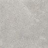 Mexen Petrich 2.0 Dalle de terrasse Light Grey 60 x 60 x 2 cm, grès émaillé rectifié G1, mate - TL906-060-060-00