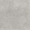 Mexen Petrich 2.0 Dalle de terrasse Light Grey 60 x 60 x 2 cm, grès émaillé rectifié G1, mate - TL906-060-060-00