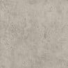 Mexen Colony 2.0 Dalle de terrasse taupe 60 x 60 x 2 cm, grès émaillé rectifié. G1, mat - TL910-060-060-02