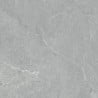 Mexen Prestone 2.0 Grise dalle de terrasse 60 x 60 x 2 cm, grès émaillé rectifié G1, mat - TL911-060-060-01