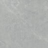 Mexen Prestone 2.0 Grise dalle de terrasse 60 x 60 x 2 cm, grès émaillé rectifié G1, mat - TL911-060-060-01