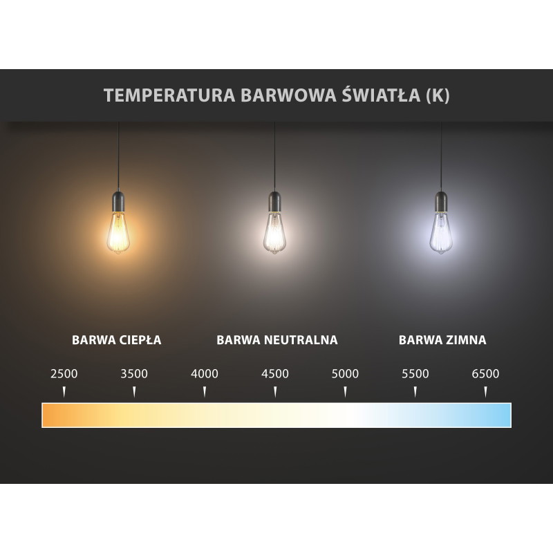 Mexen Vintis 6x Ampoule à filament LED E27, G45, 2W, Chaude - 2700K, 240 lm, transparente - L156-E27-0227-00x06